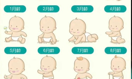 宝宝几个月可以喝果汁-几个月宝宝可以添加辅食-宝宝几个月可以断夜奶最合适,中国宝宝几个月可以蹬腿网站
